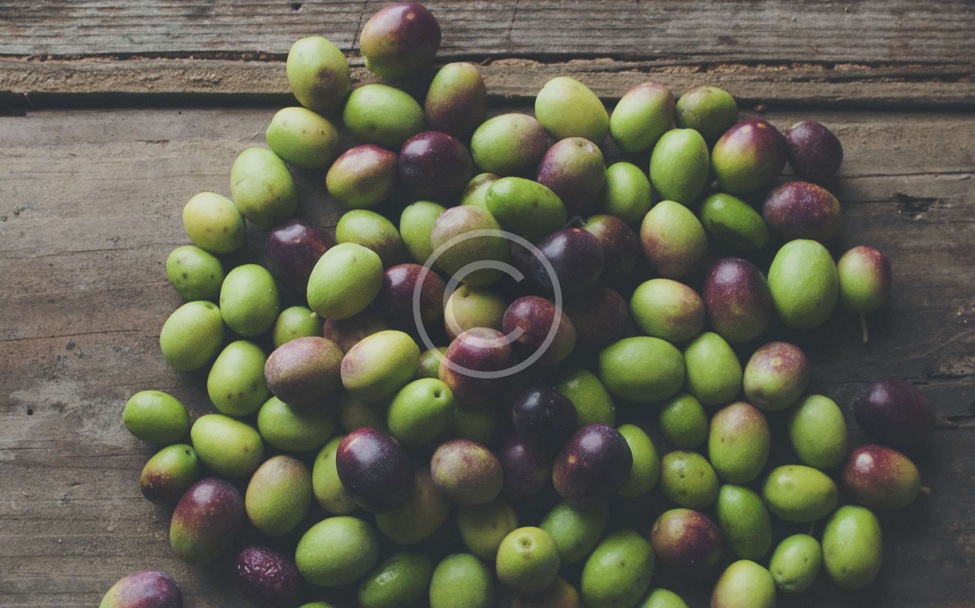 10 Secrets of Olive Oil